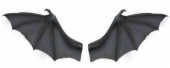 蝙蝠翅膀.jpg