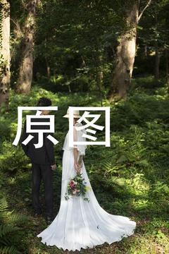 森系婚纱---修图：张爱春（亳州）
