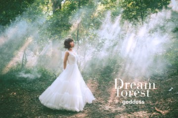 Dream forest